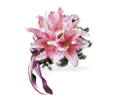 Oriental Lilies Nosegay in Ellicott City MD, Wessel's Florist & Weddings