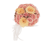 Pinks and Peaches Nosegay in Ellicott City MD, Wessel's Florist & Weddings