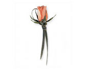 Peach Promise Boutonniere in Ellicott City MD, Wessel's Florist & Weddings