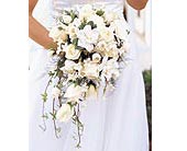 White Cascade Bridal Bouquet in Ellicott City MD, Wessel's Florist & Weddings