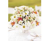 Daisy Joy Centerpiece in Ellicott City MD, Wessel's Florist & Weddings