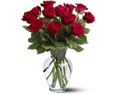 12 Red Roses in Ellicott City MD, Wessel's Florist & Weddings