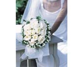 Bridal Bouquet in Ellicott City MD, Wessel's Florist & Weddings