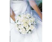 Bridal Bouquet in Ellicott City MD, Wessel's Florist & Weddings