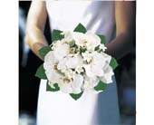 Bridal Bouquet in Ellicott City MD, Wessel's Florist & Weddings