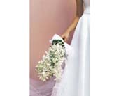 Bridal Bouquet in Ellicott City MD, Wessel's Florist & Weddings