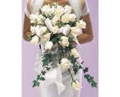Bridal Bouquet in Ellicott City MD, Wessel's Florist & Weddings