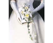 Bridal Bouquet in Ellicott City MD, Wessel's Florist & Weddings