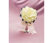 Bridal Bouquet in Ellicott City MD, Wessel's Florist & Weddings