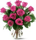 One Dozen Premium Hot Pink Roses from Wessel's Florist in Ellicott City, MD