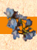 contact_flower.jpg (3615 bytes)