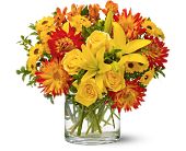 Wessel's Florist & Weddings, Ellicott City, Maryland - Summer Samba, picture