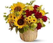 Wessel's Florist & Weddings, Ellicott City, Maryland - Farmer's Market, picture
