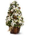 Luxurious Lily Tree in   