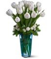 Winter White Tulips in   
