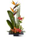 Paradise Found in Ellicott City MD Wessel's Florist & Weddings
