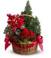 Tannenbaum Basket in   