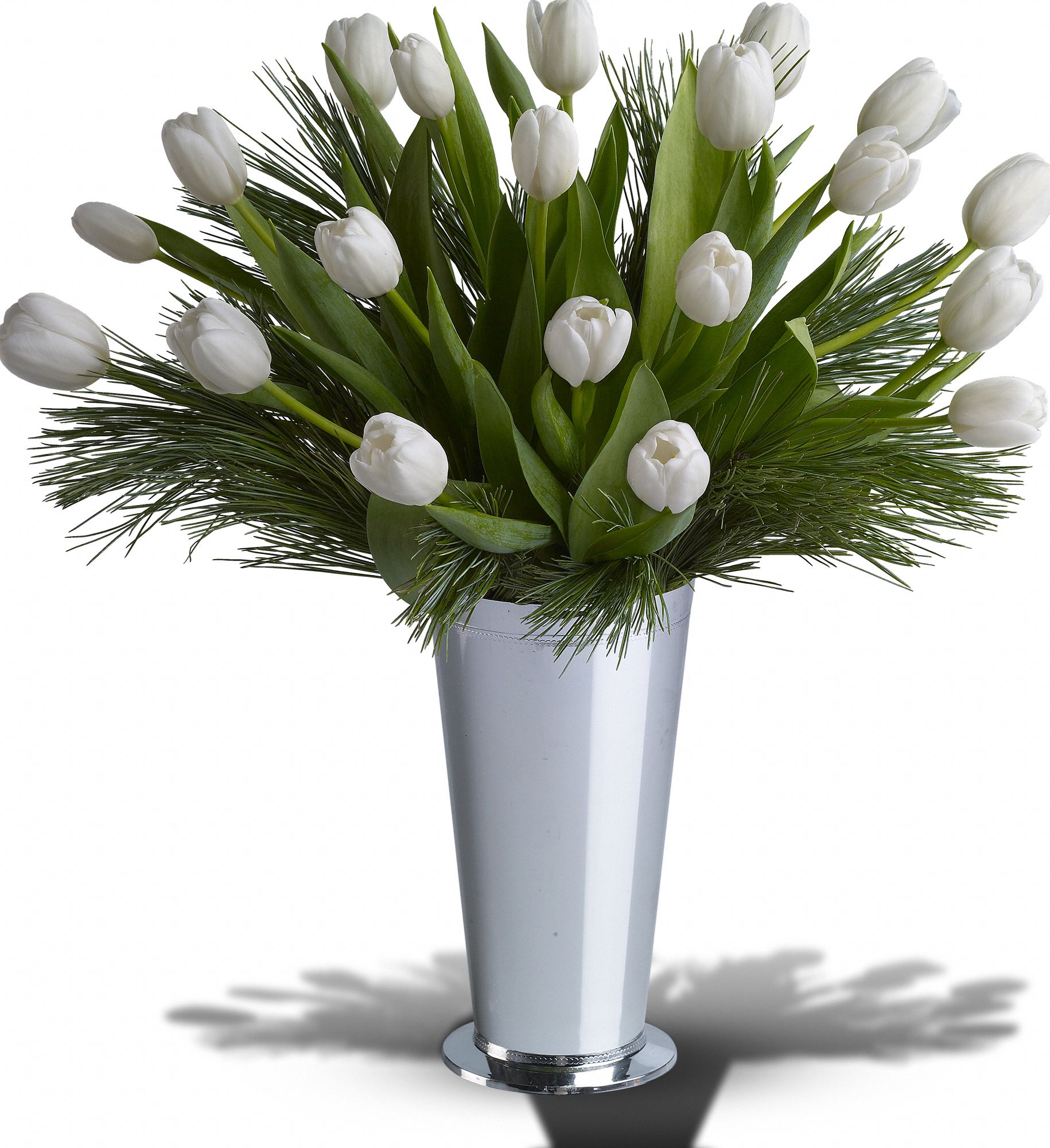 Tulips and Pine Deluxe in   