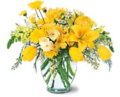 Wessel's Florist & Weddings, Ellicott City, Maryland - Sunshine Express, picture