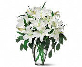 Wessel's Florist & Weddings, Ellicott City, Maryland - Perfect White Lilies, picture