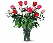 Wessel's Florist & Weddings, Ellicott City, Maryland - A Dozen Multi-Colored Roses, picture