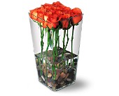 Wessel's Florist & Weddings, Ellicott City, Maryland - Orange Roses with River Rocks, picture