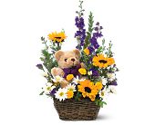 Wessel's Florist & Weddings, Ellicott City, Maryland - Basket & Bear Arrangement, picture