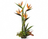 Wessel's Florist & Weddings, Ellicott City, Maryland - Memories of Paradise, picture